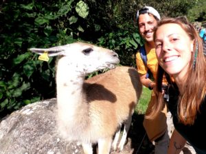lama selfie Machu Picchu